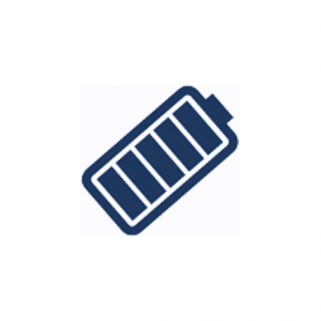 Akku-Lizenz inkl. Hochleistungsakku (7 Ah) CAS CT100